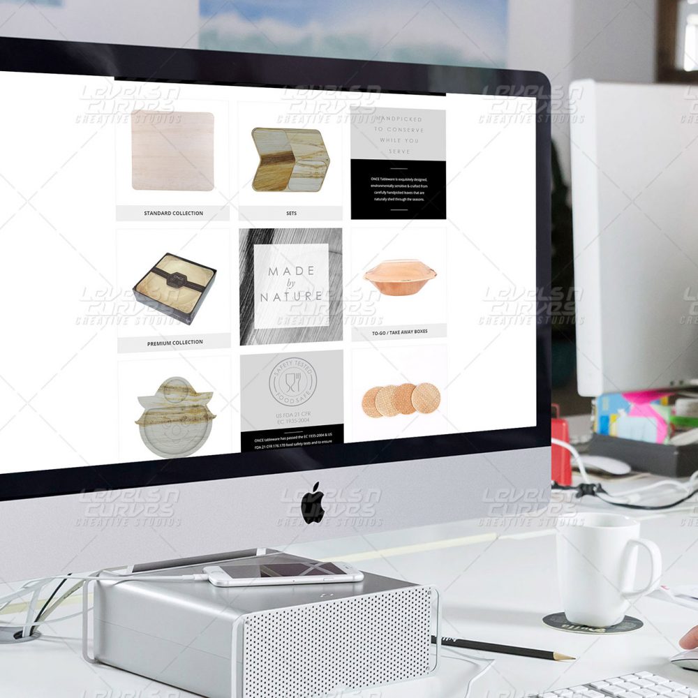 Web Development in Chennai
