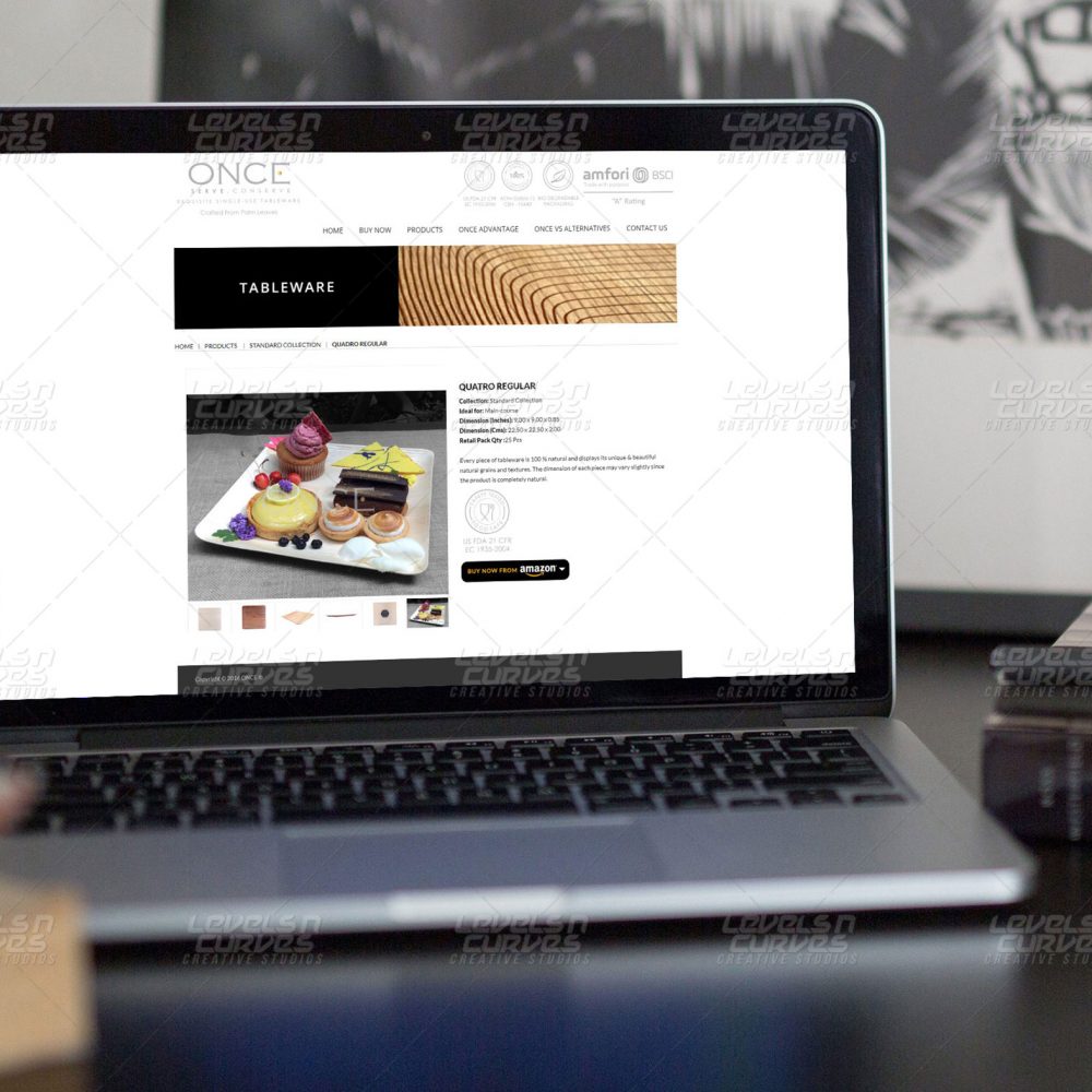 Web Development in Chennai