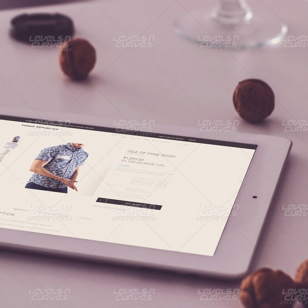 web development in Chennai